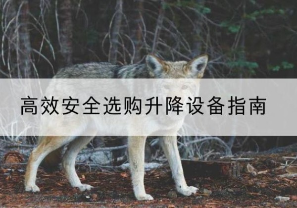 金牛升降货梯厂家推荐-*安全选购升降设备指南