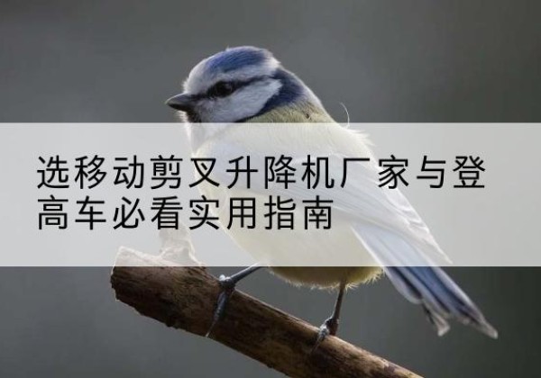 金牛电动升降机厂家-选移动剪叉升降机厂家与登高车必看实用指南