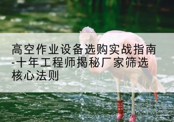 金牛剪叉式升降机厂家-高空作业设备选购实战指南-十年工程师揭秘厂家筛选核心法则